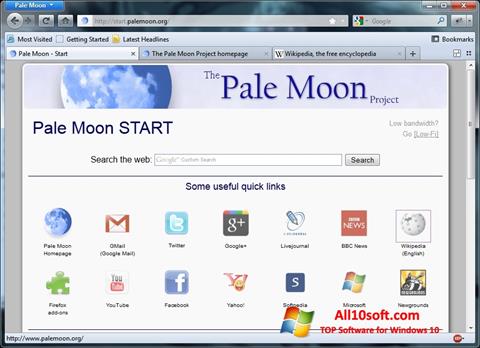 Skjermbilde Pale Moon Windows 10