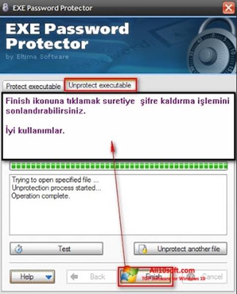 Skjermbilde EXE Password Windows 10